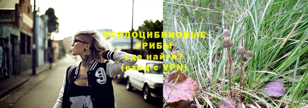 ешки Бронницы