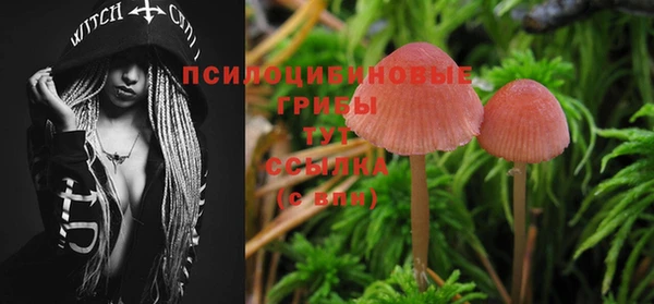 экстази Белокуриха