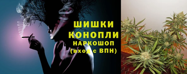 ешки Бронницы