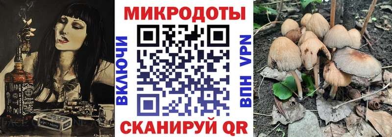 Галлюциногенные грибы MAGIC MUSHROOMS  где продают   Калтан 